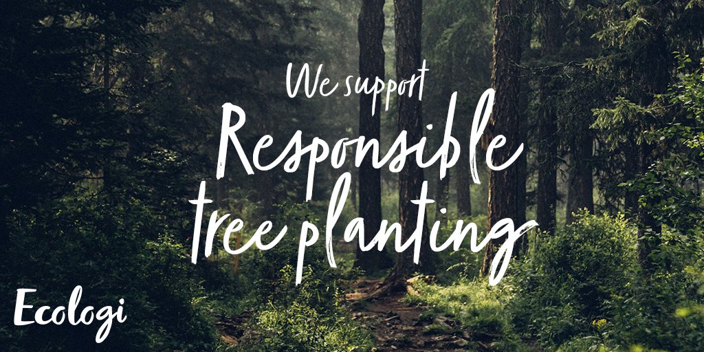 We support responsible tree planting